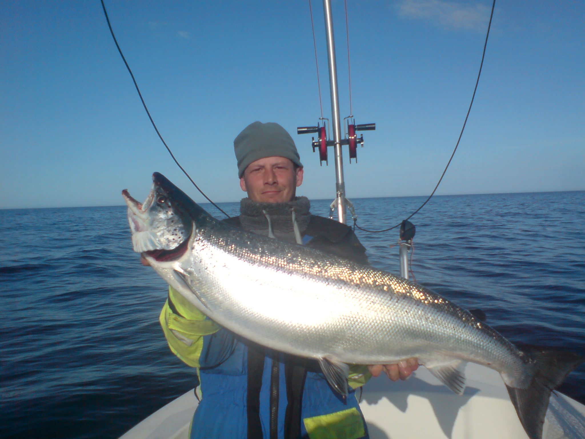 Laxfiske på öppet vatten
